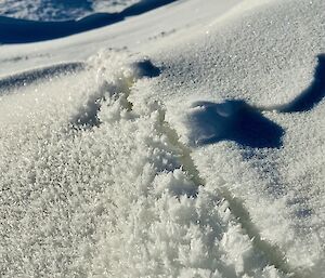 A crack in the sea-ice surrounded by lots of feathery white ice crystals.