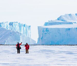 Two men are walking towards the camera over the sea ice. They are both waving to the camera. In the distance, a very large number of penguins are visible beneath large icebergs frozen in the ice.