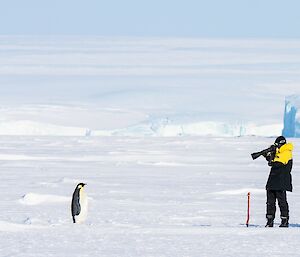 A woman is using a large telephoto lens to take a photo of an emperor penguin that is standing four metres in front of her.