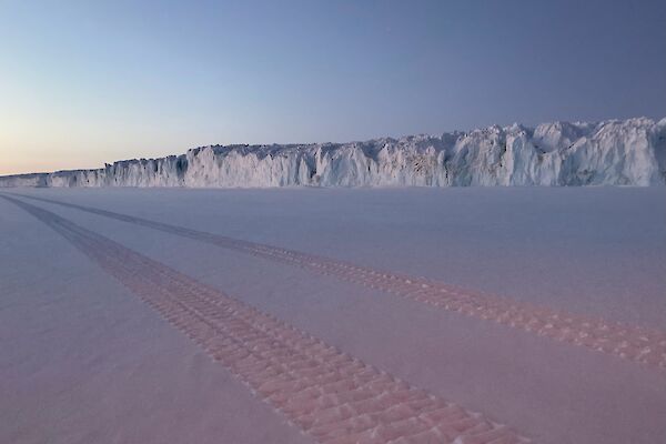 Vehicle tracks in fresh snow with the side wall of a glacier visible in the background.