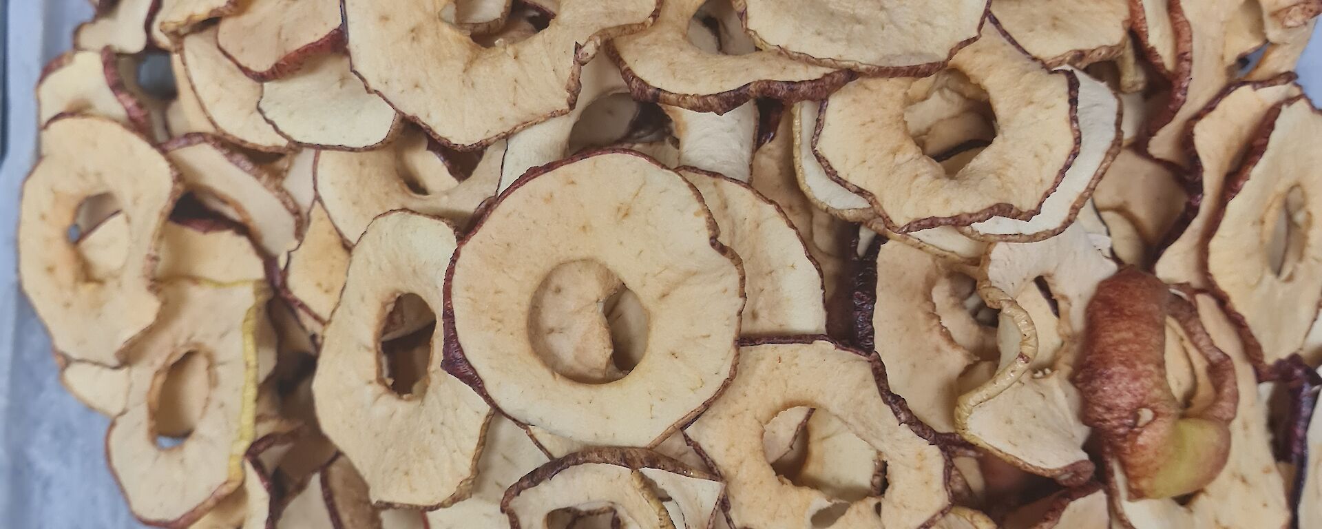 A tray of dehydrated apple slices