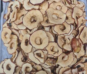 A tray of dehydrated apple slices