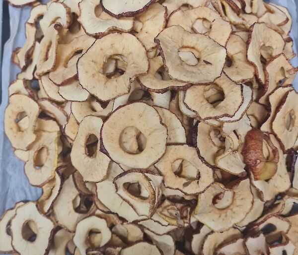 A tray of dehydrated apple slices