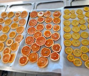 Three trays of sliced dried oranges and lemons
