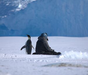 A penguin is next to a man sitting on the ice. It is looking to the left while the man is facing away looking to the right. A large iceberg is in the background