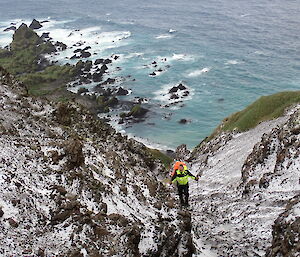 FTO in their natural habitat - Matt Roberts, Macquarie Island 2023.