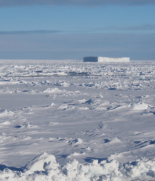 Antarctic sea ice with a tabular iceberg.