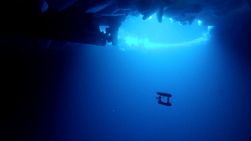 An autonomous underwater vehicle beneath sea ice