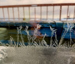 Ice has formed in a window in the shape of small flowers. Through the window can be seen a metal railing.