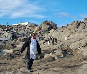 A man wearing a penguin suit stands in front of a group of penguins in a rocky landscape.