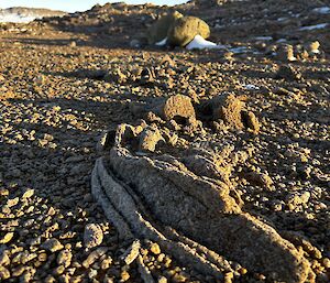 A close up image of a rocky island showing wind weathered rocks