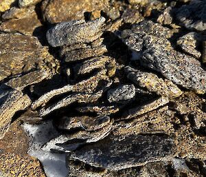 A close up photograph showing a multitude of rock types broken up on the ground