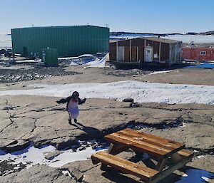 Two men dressed in penguin costumes are dancing on a rocky landscape near a picnic table on a bright, sunny, day.