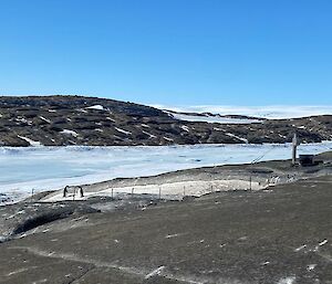 Two Adélie penguins are standing on a rocky island near a mesh fence. Frozen sea ice is in the background.