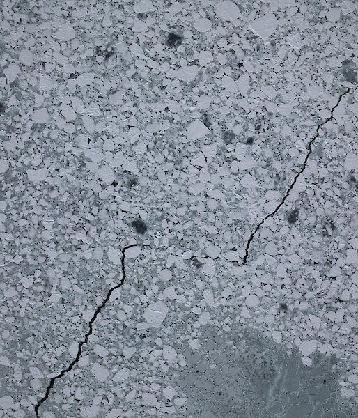 Aerial view of white pancakes of sea ice on a grey ocean.
