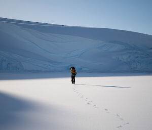 A behind view of an Antarctic expeditioner walking in the snow towards a large snowy ridge