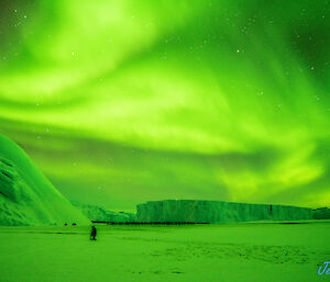 A very bright green aurora is covering the night sky above the frozen ice. There are a very large number of penguins gathered together in the distance near large icebergs frozen into the ice.