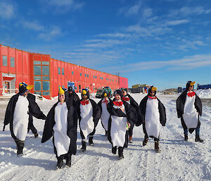 A group of people in penguin costumes