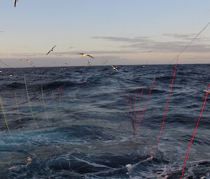 Streaming lines being used to deter flying seabirds during fishing from a ship