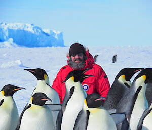 A man in a red jacket is photographed looking towards the camera from behind a group of adult emperror penguins. In the distance over the sea ice is a large iceberg.