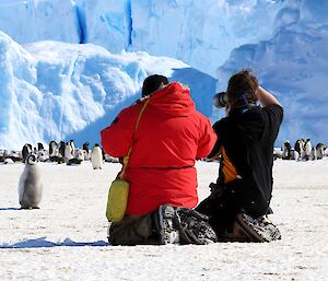 An emperor penguin chick is looking at two men who are photographing it. In the background is a large group of penguins near a number of large icebergs