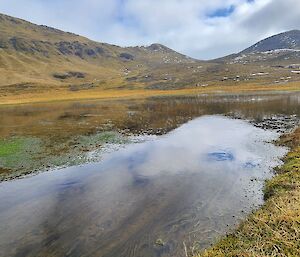 Mount Martin Track on Macquarie Island
