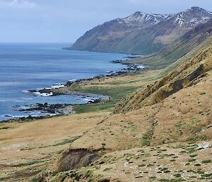 Waterfall Bay drop down Googie Hut in the distance - Macquarie Island 2023.