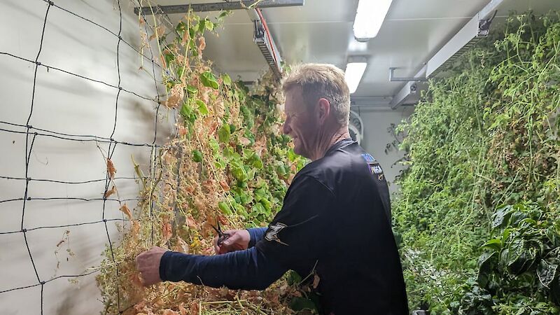 A man stands in a fridge unit surrounded by plants