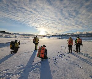 A group of expeditioners taking photos of the picturesque landscape in front of them