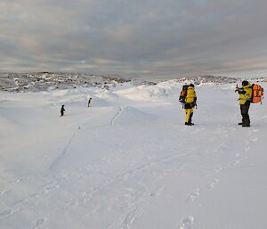 Expeditioners standing on the snow and ice taking photos of Adelie penguins