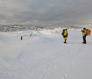 Expeditioners standing on the snow and ice taking photos of Adelie penguins
