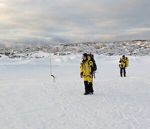 Two expeditioners walking with an Adelie penguin