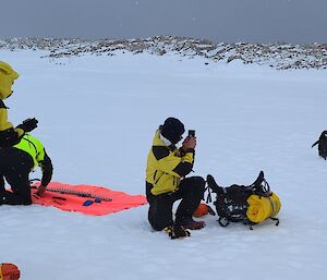 Expeditioners taking photos of an Adelie penguin whilst setting up a sea ice drill