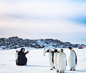 A smiling man sits cross legged on the sea-ice with a group of six Emperor Penguins standing close to him.