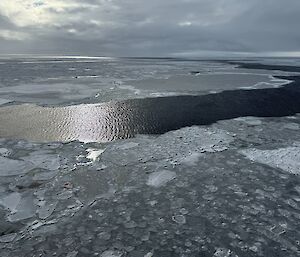 Sea ice forms pancake like patterns on the surface of the sea
