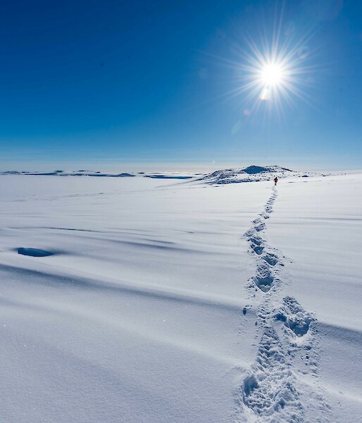 Ice landscape with bright sun