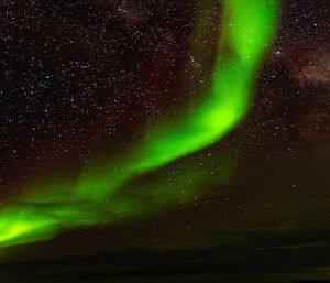 Bright green ribbon of light in a star filled night sky.