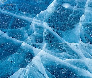 Cracked blue lake ice filled with bubbles of suspended air.