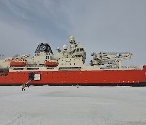 A large red and white ice breaker is parked stationary in the sea ice with its gangway extended from the side