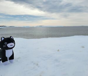 A stuffed cat toy on the snow looking out over the bay