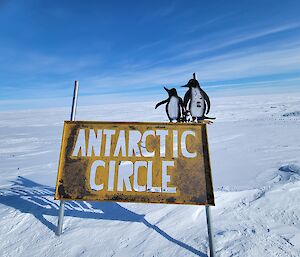A stuffed cat toy on the Antarctic circle sign