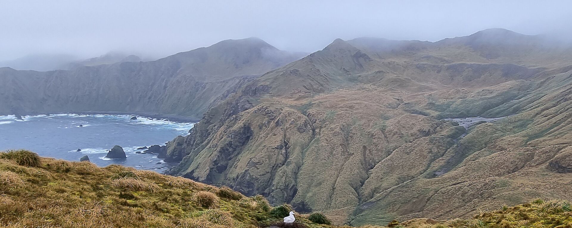 Dramatic rocky landscape with a little white bird sitting on a nest in the foreground