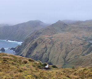 Dramatic rocky landscape with a little white bird sitting on a nest in the foreground