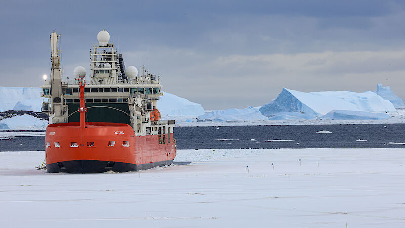 Big red ship stuck in ice.