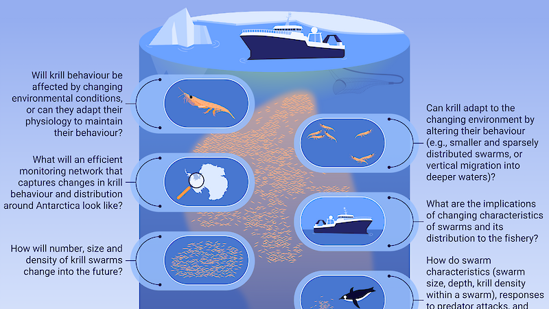 A graphic showing the different components of a monitoring system that would help address questions about the impacts of climate change on krill.
