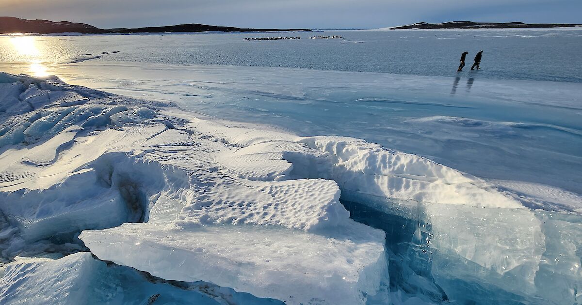 After years of planning, scientists arrive and the Denman Terrestrial Campaign gets started – Australian Antarctic Program (News 2023)
