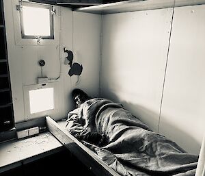 A black and white photograph of a man asleep in a wooden bunk in an old building.