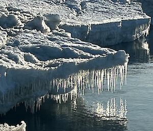 Icicles hang off the edge of melting ice near the water