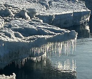 Icicles hang off the edge of melting ice near the water