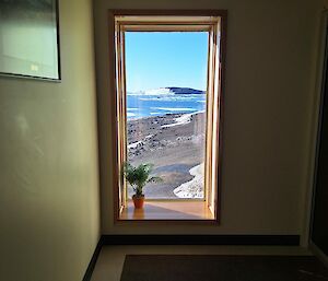 A window into an Antarctic landscape